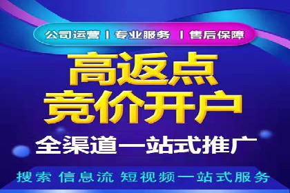 SEM专员案例：数据分析与优化